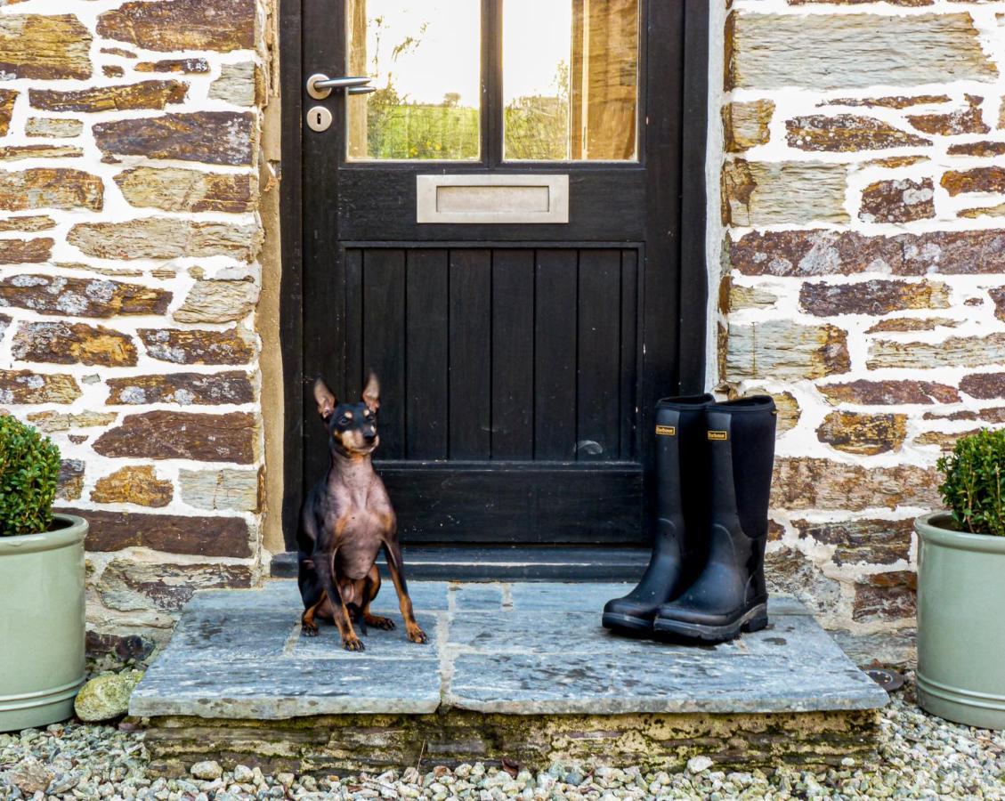 Gwel an Heyl, Padstow Villa Little Petherick Buitenkant foto
