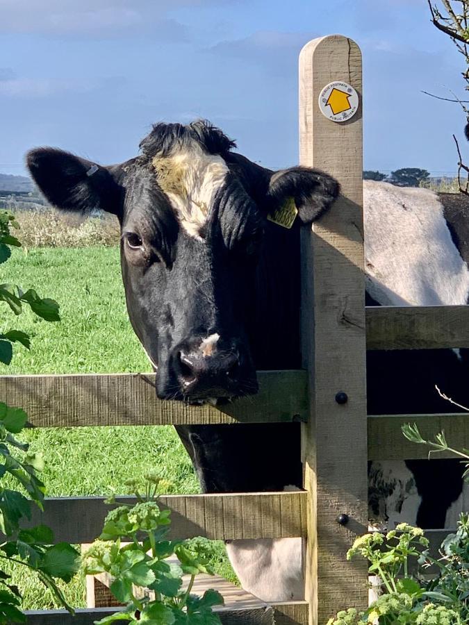 Gwel an Heyl, Padstow Villa Little Petherick Buitenkant foto