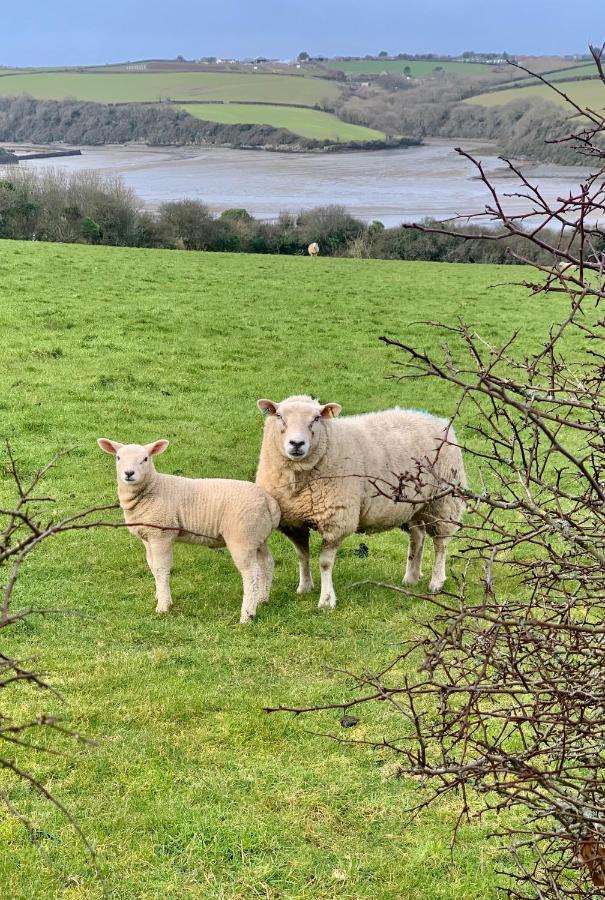 Gwel an Heyl, Padstow Villa Little Petherick Buitenkant foto